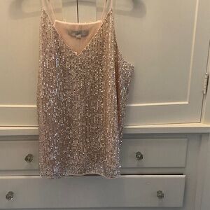LOFT Shimmering Sequin Blush Top